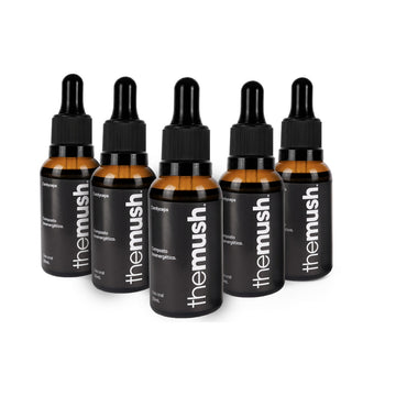Cordyceps Pack 5