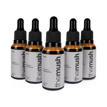 Reishi Pack 5