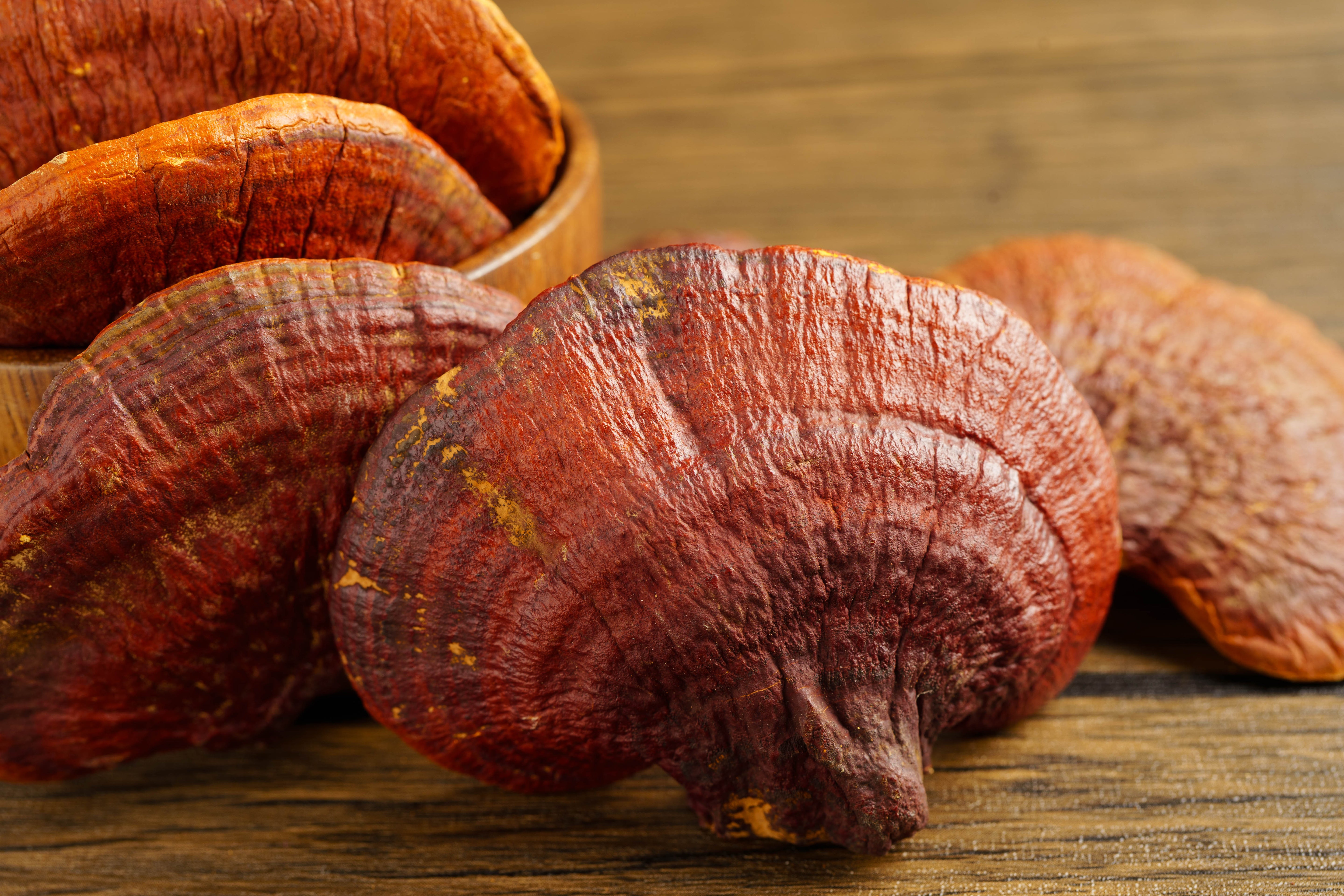 Reishi